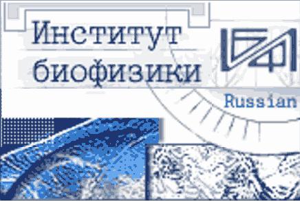 Клеточные линии, экспрессирующие биолюминесцентные репортеры